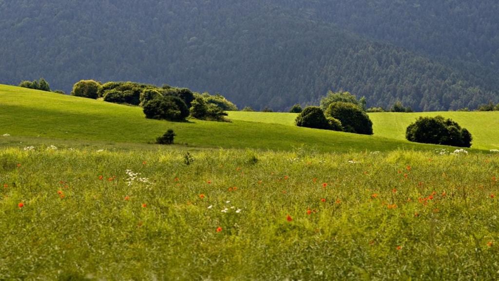 Dubrava Penzion Mlynarov Dvor מראה חיצוני תמונה